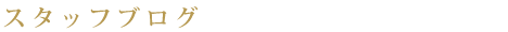 スタッフブログ